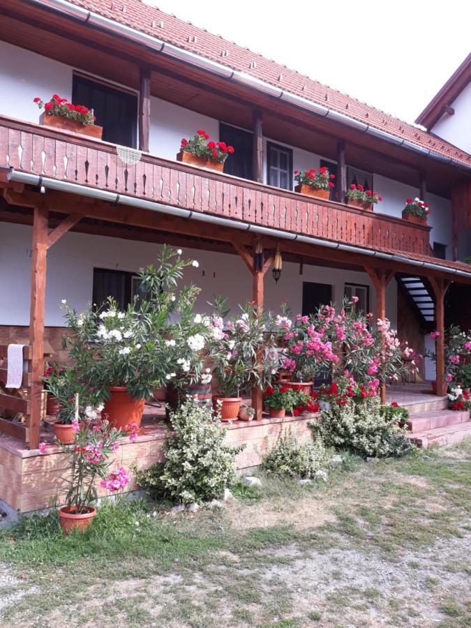 Molnár Vendeghaz Bed and Breakfast Praid Exterior foto